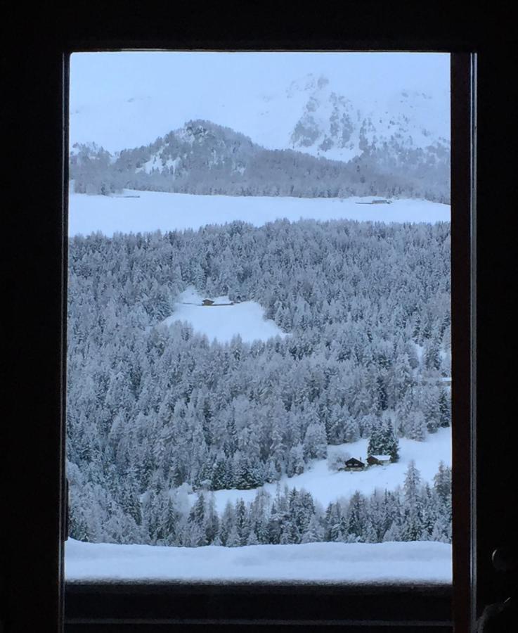 Residence Ciel Bleu - Fraz Pos Aosta Eksteriør billede